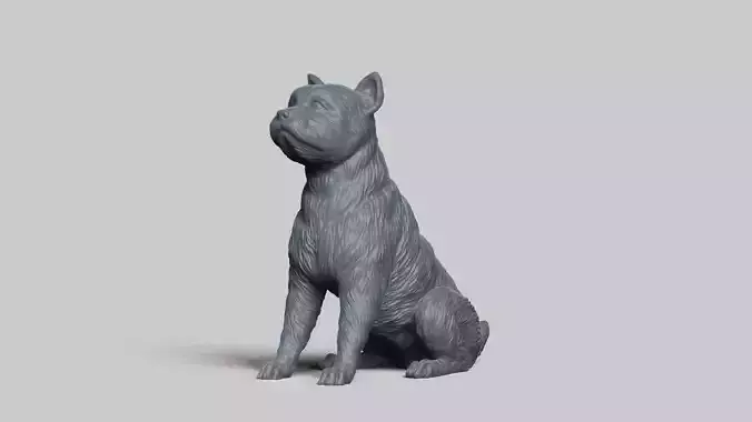 Yorkie V2 3D print model
