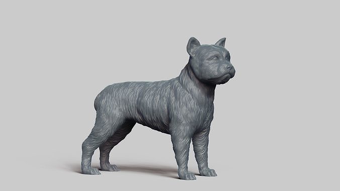 Yorkie V1 3D print model