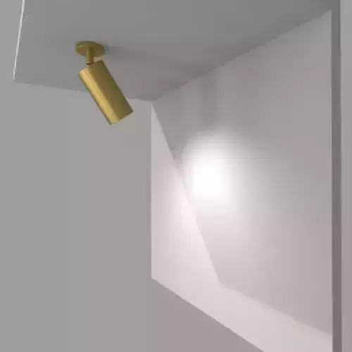 Golden Light 3D model