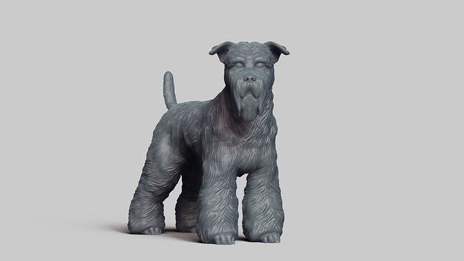 Schnauzer V1 3D print model