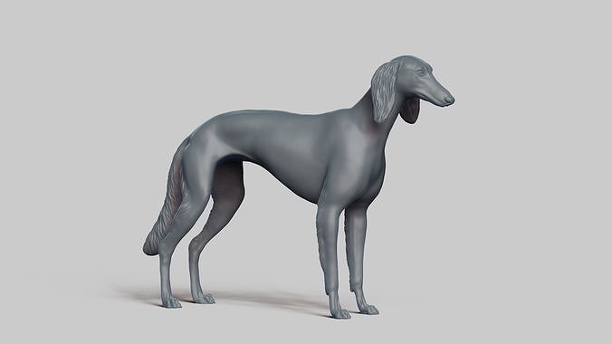 Saluki V3 3D print model