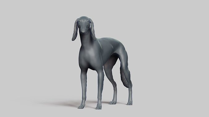 Saluki V1 3D print model