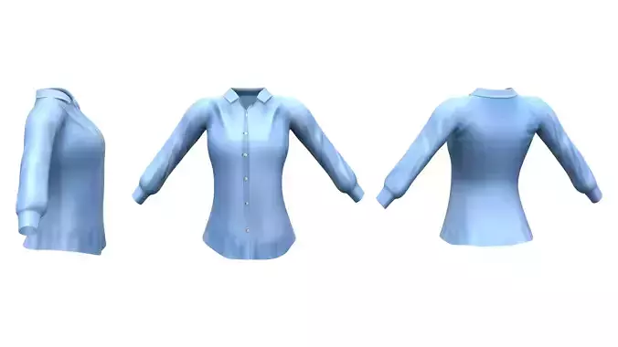 Ladies Over Pants Classic Shirt