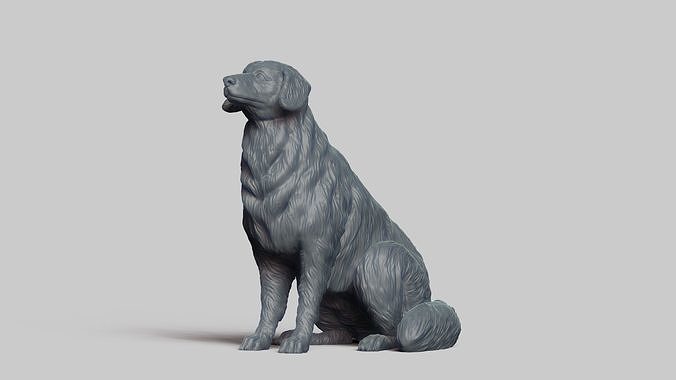 Nova Scotia Duck V2 3D print model
