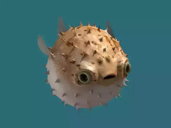 Puffer fish animated