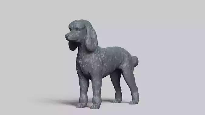 Large Poodle V3 3D print model