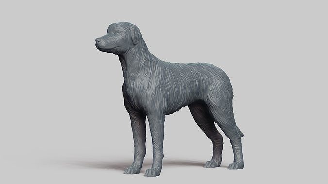 Irish Wolfhound V3 3D print model