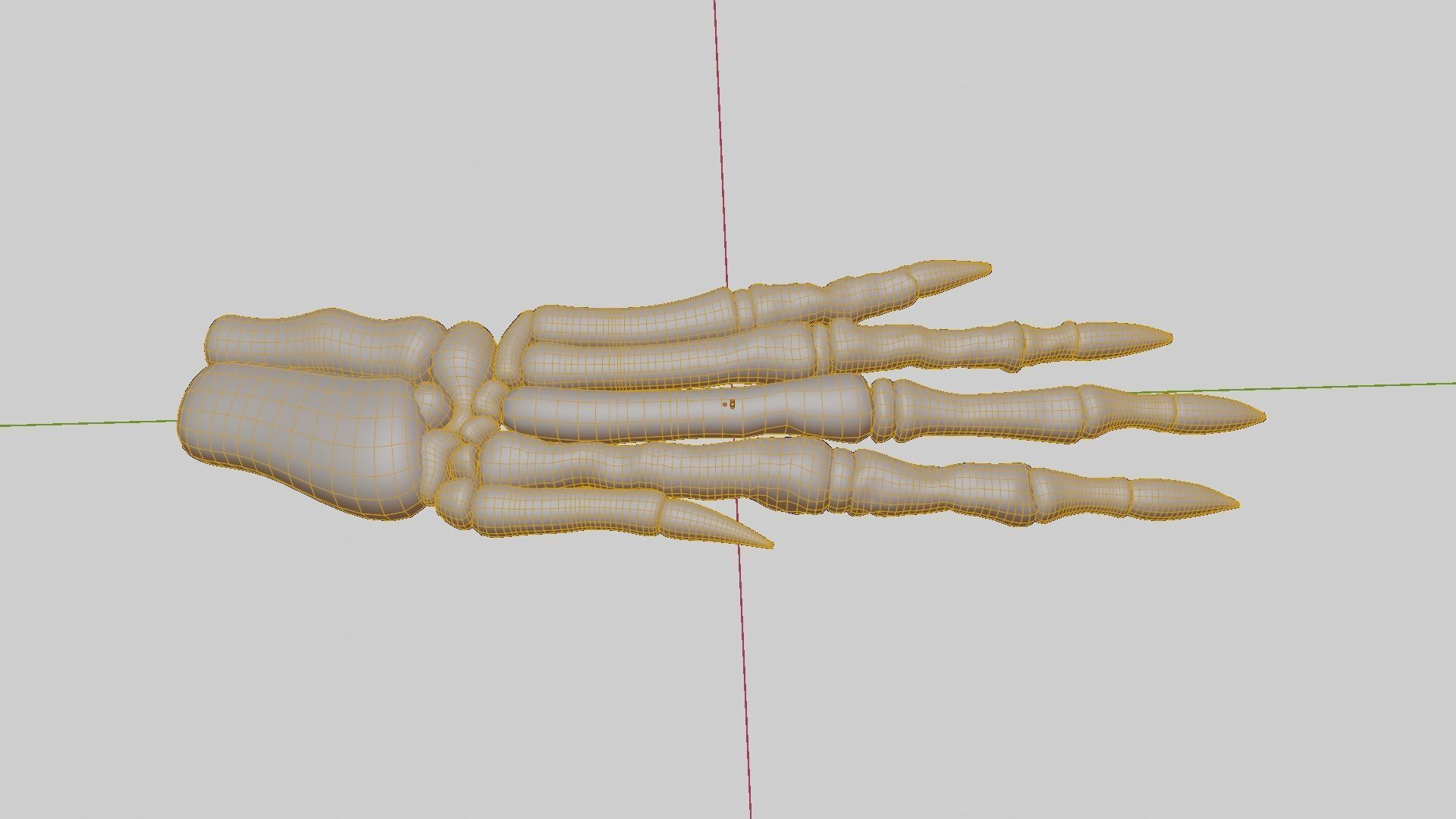 Rabbit foot skeleton 3D model_15