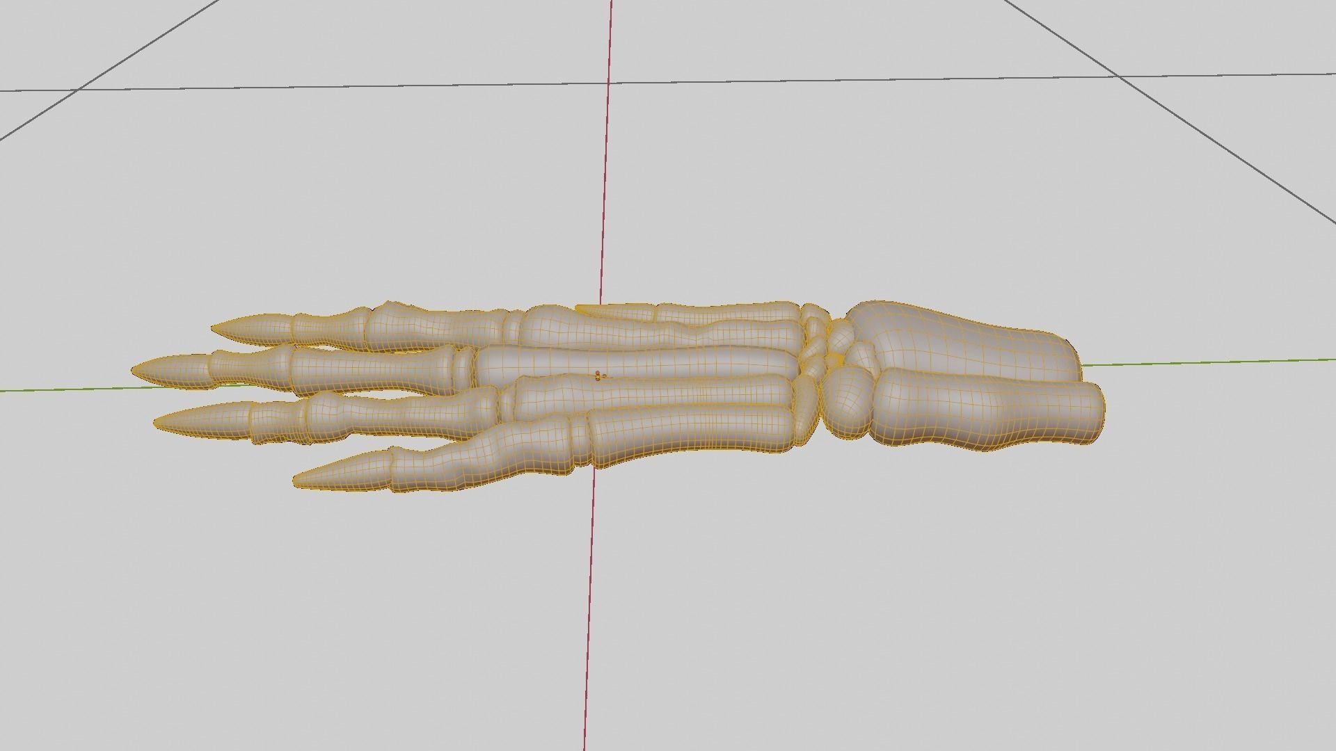 Rabbit foot skeleton 3D model_16
