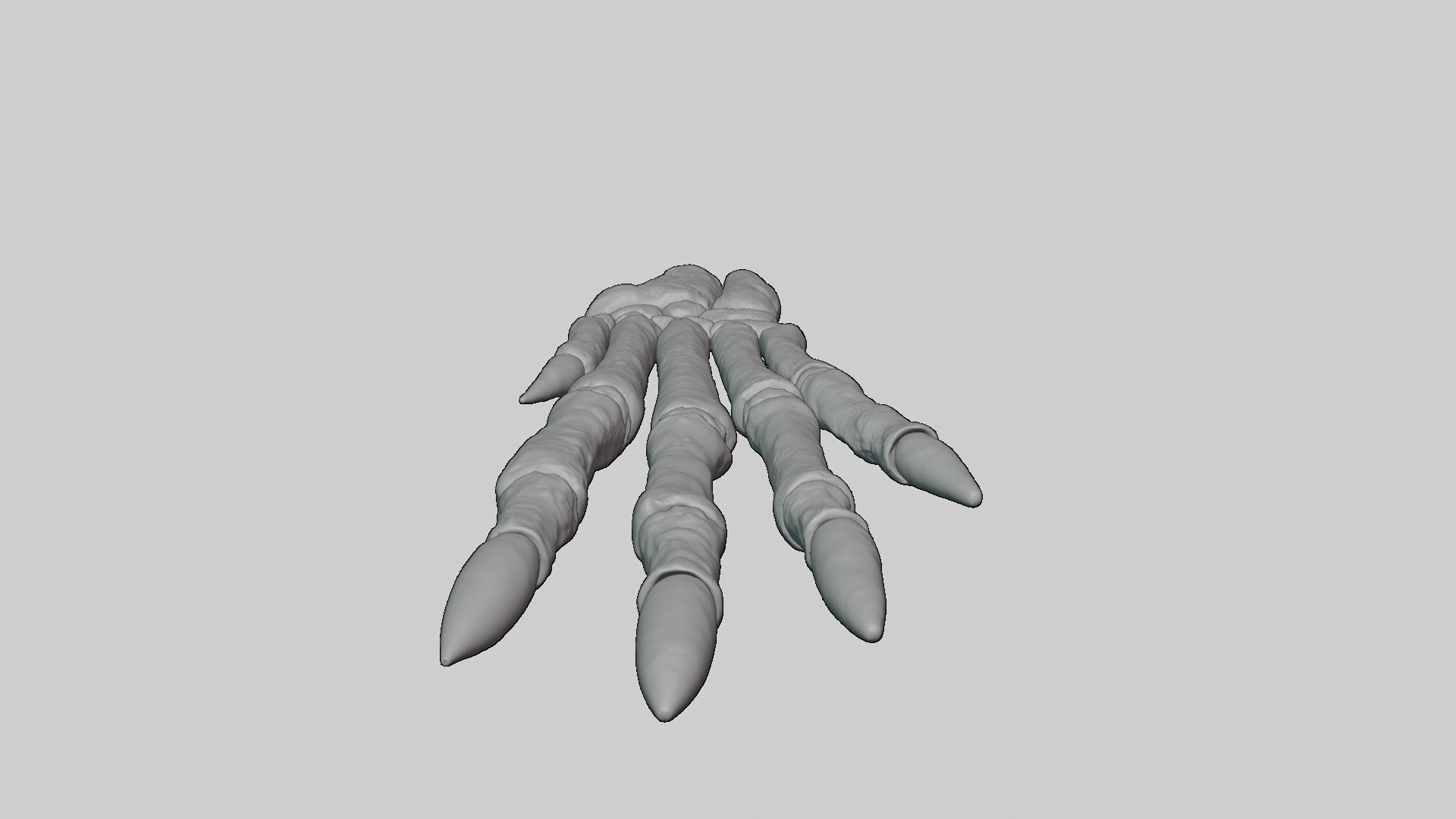Rabbit foot skeleton 3D model_13