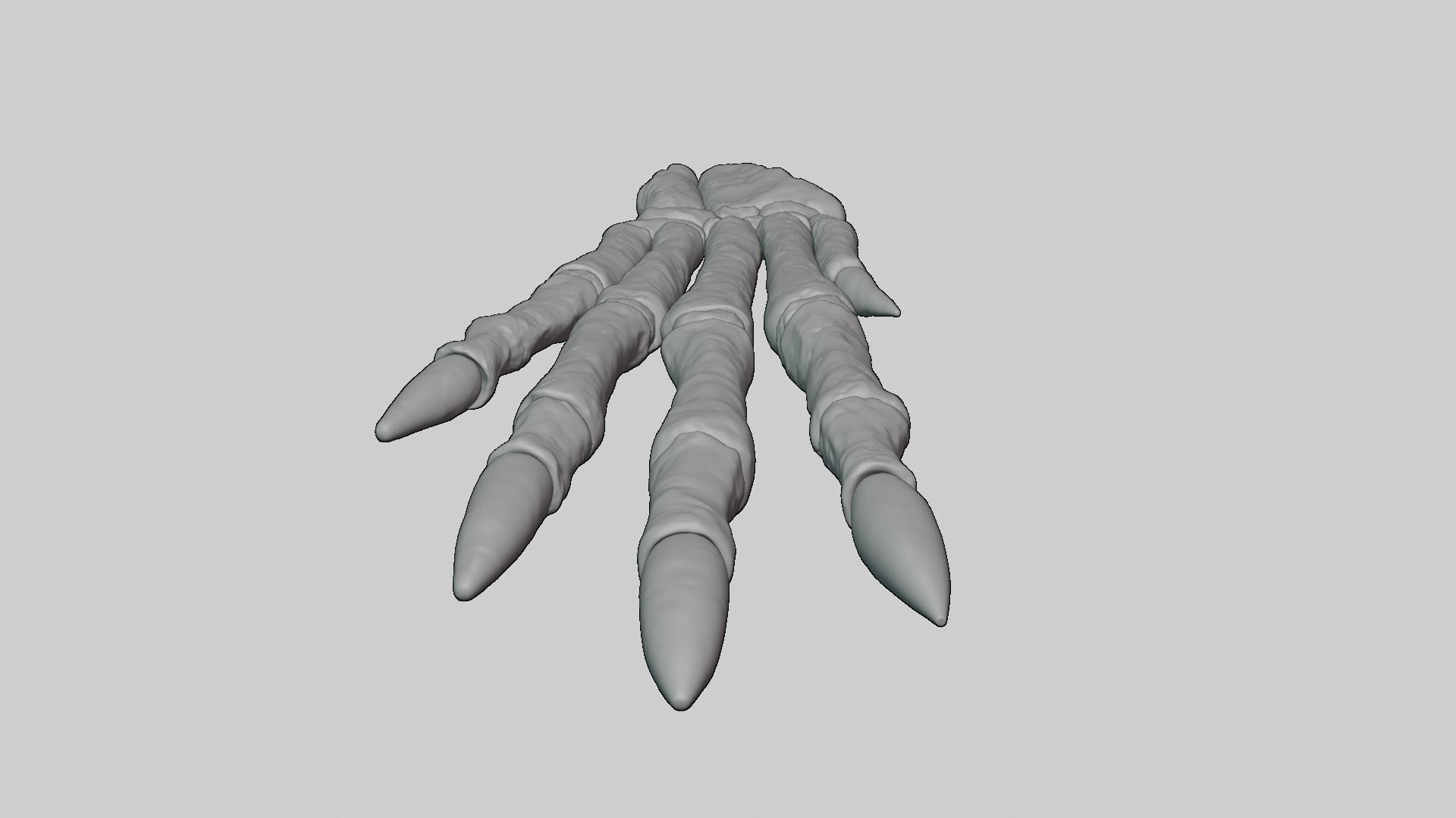 Rabbit foot skeleton 3D model_12