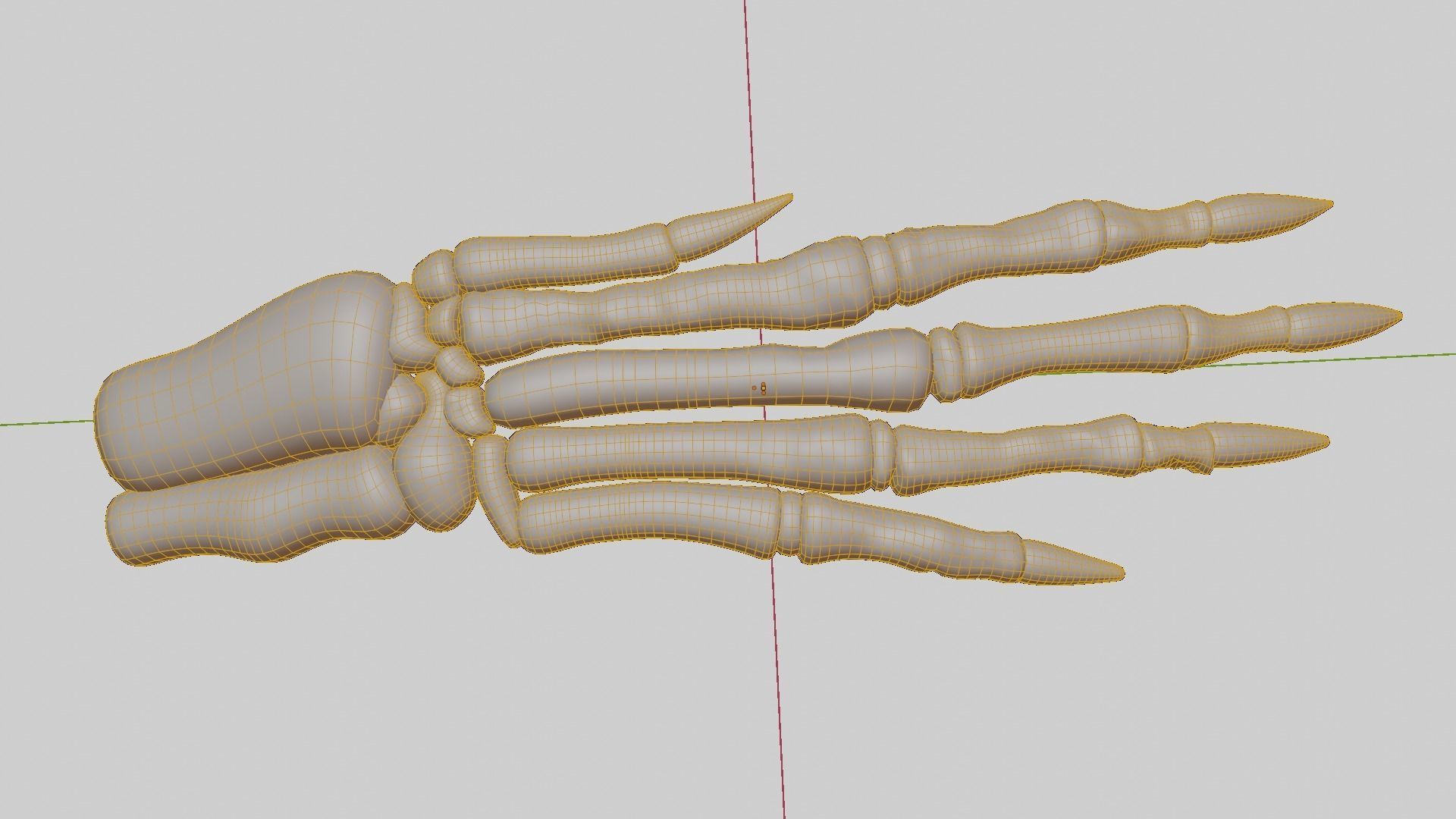 Rabbit foot skeleton 3D model_18