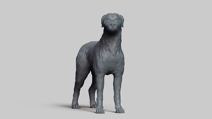 Irish Wolfhound V1 3D print model