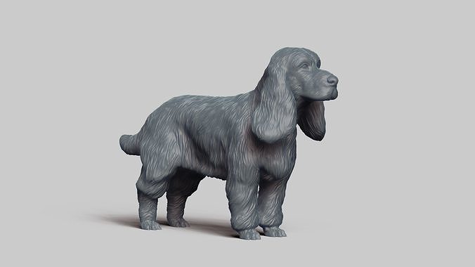 English Cocker Spaniel V3 3D print model