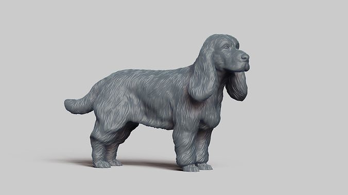 English Cocker Spaniel V1 3D print model