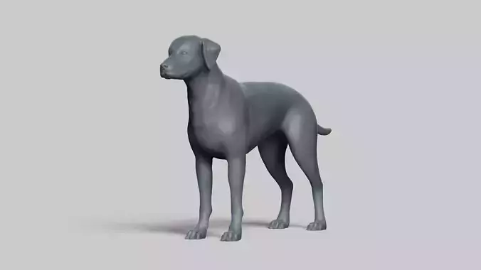 Dalmatian V3 3D print model