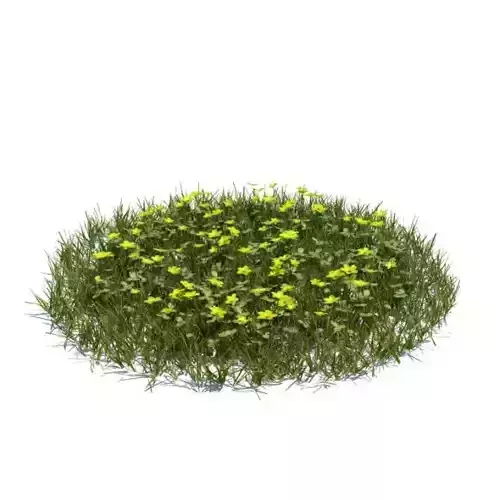 Simple Grass With Yellow Flowers