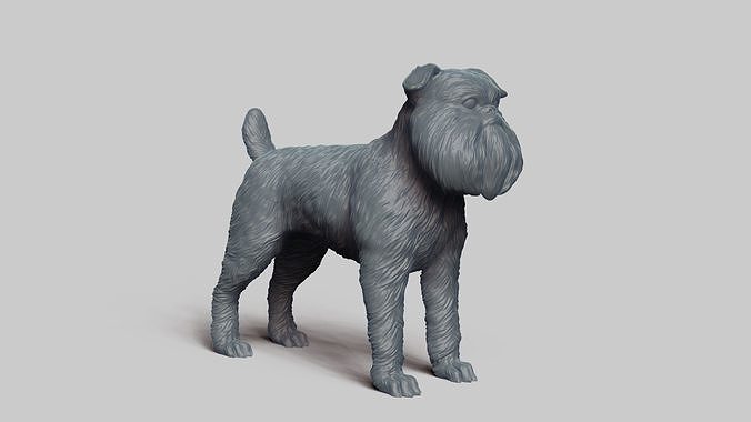 Brussels Griffon V3 3D print model