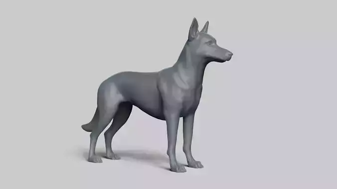Belgian Malinois V3 3D print model