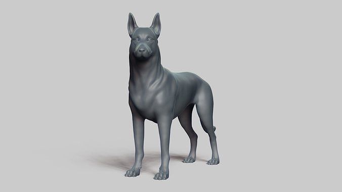 Belgian Malinois V1 3D print model