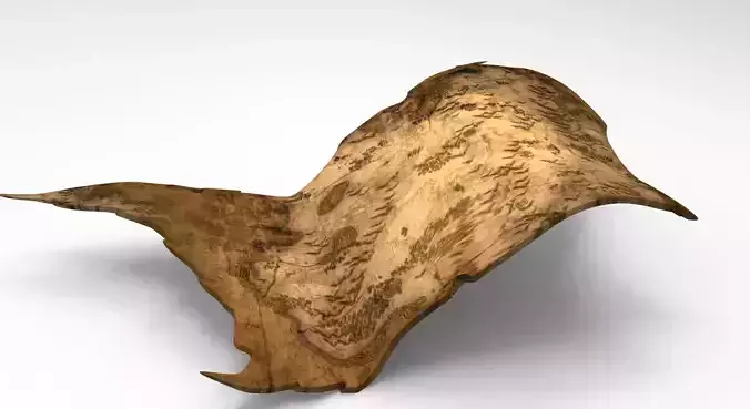 Old Map Scroll Fantasy 1