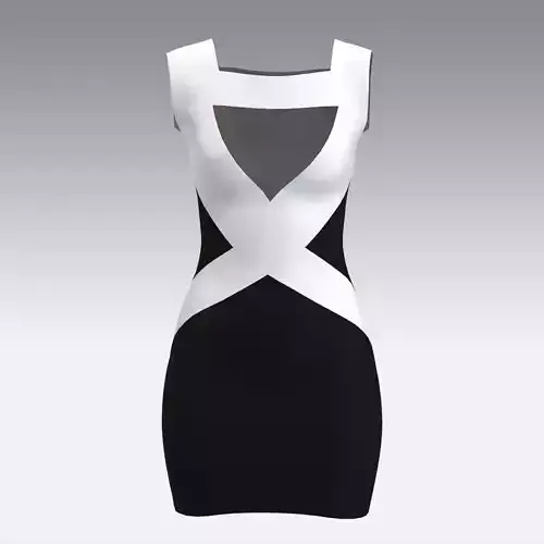 DRESS BLACK AND WHITE LOOK MODERN LITTLE DRESS