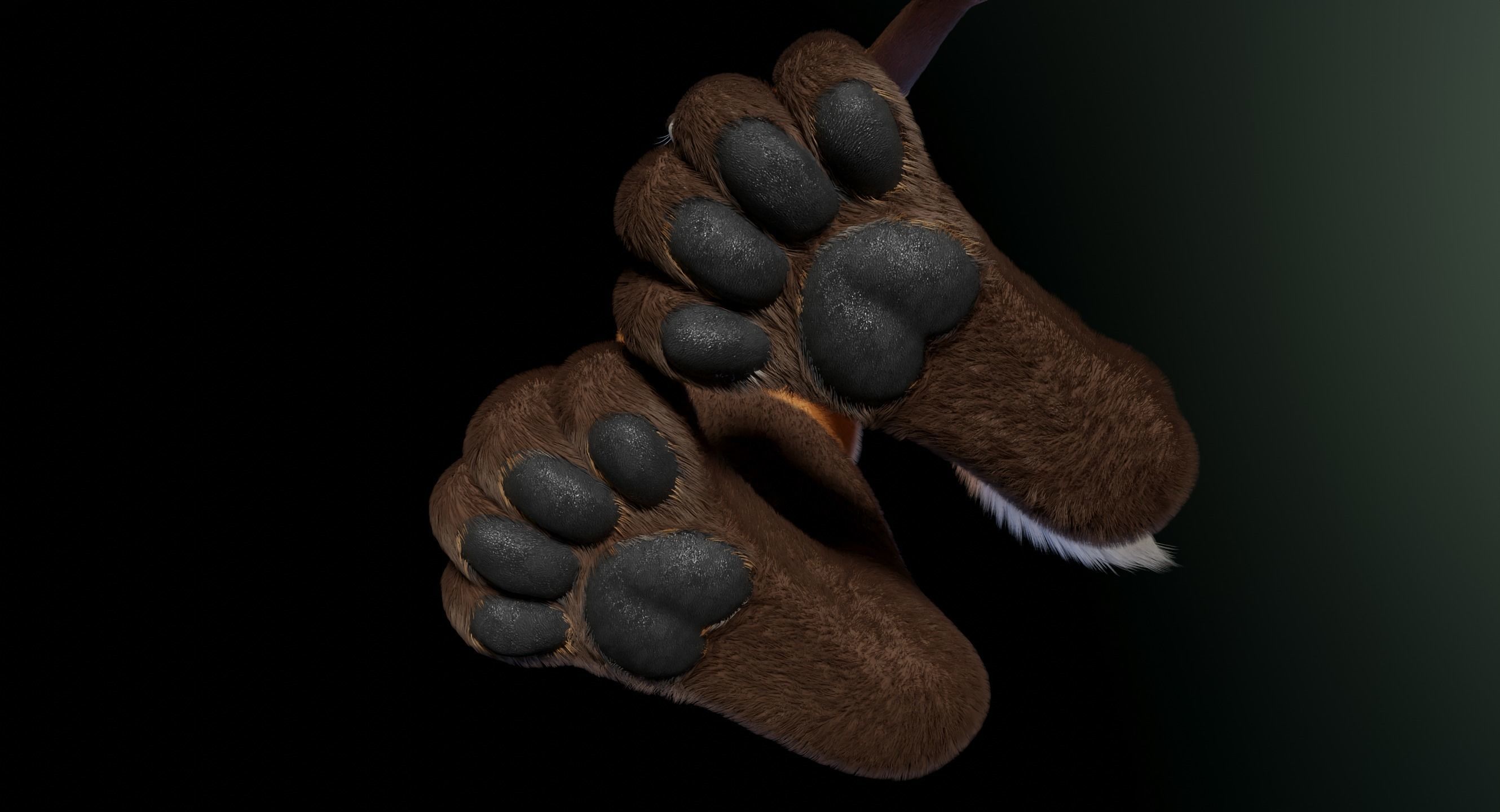 Hassun Anthro Fox 3D model_14