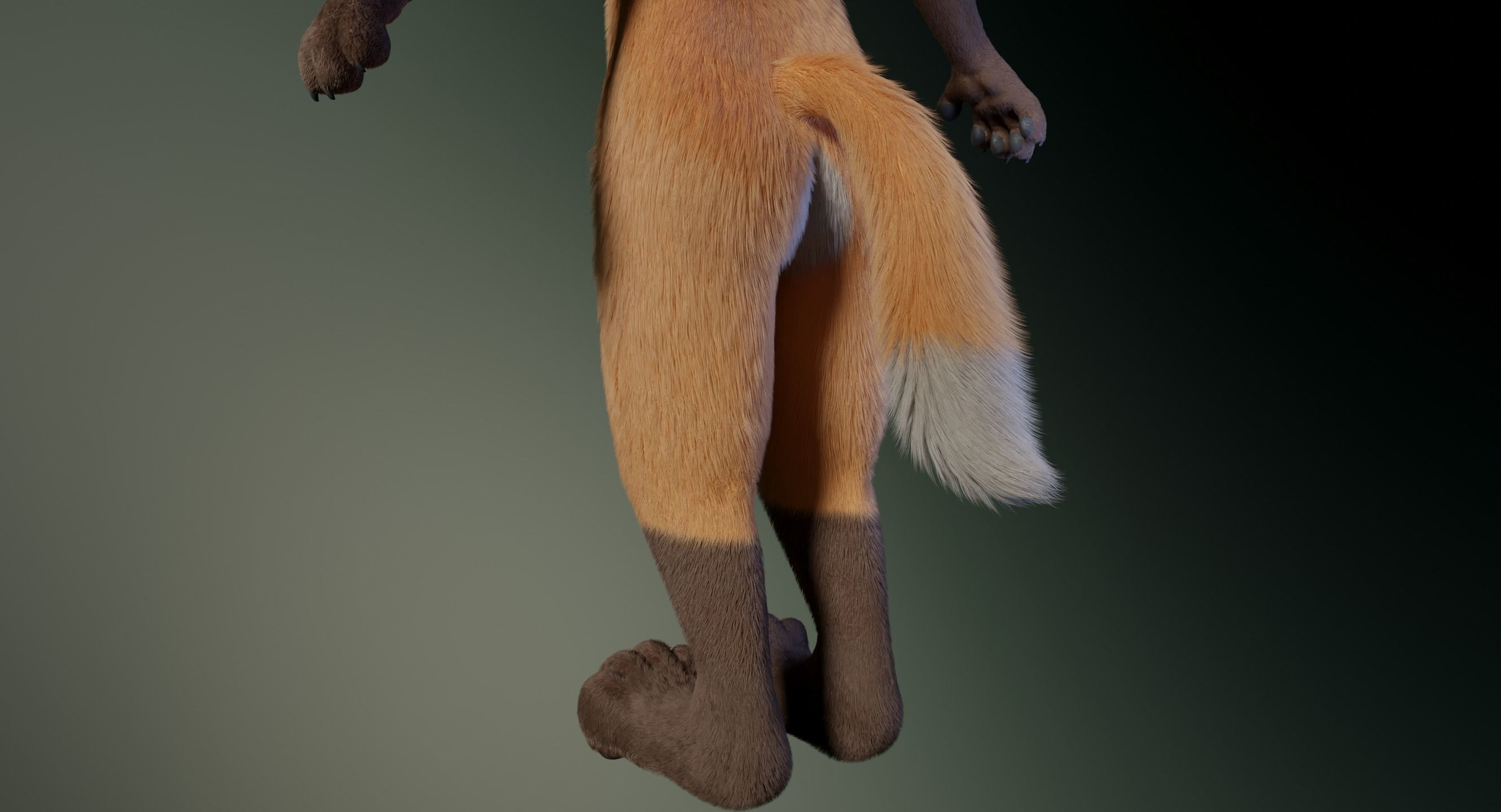 Hassun Anthro Fox 3D model_9