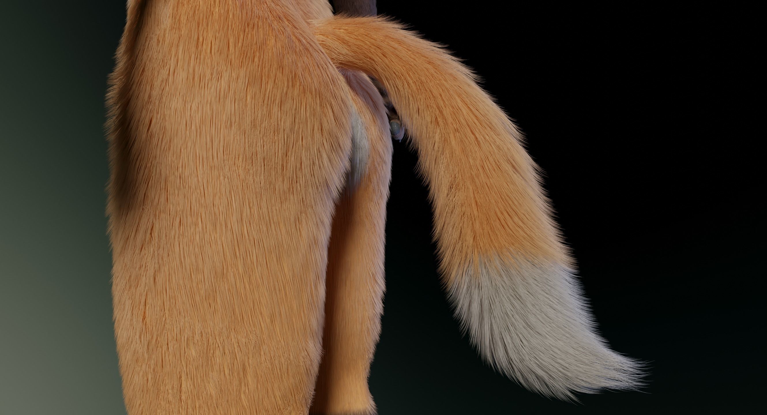 Hassun Anthro Fox 3D model_10