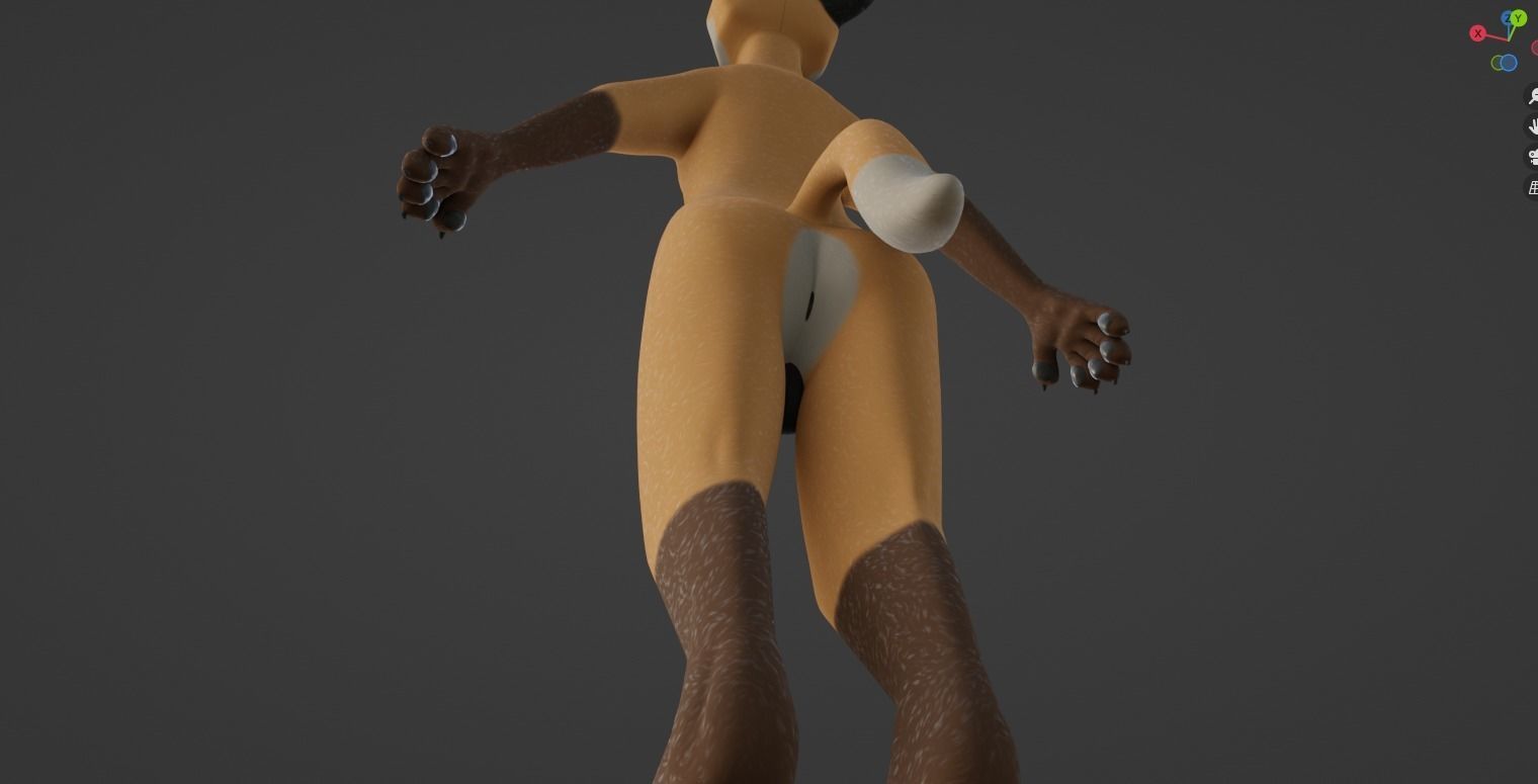 Hassun Anthro Fox 3D model_51