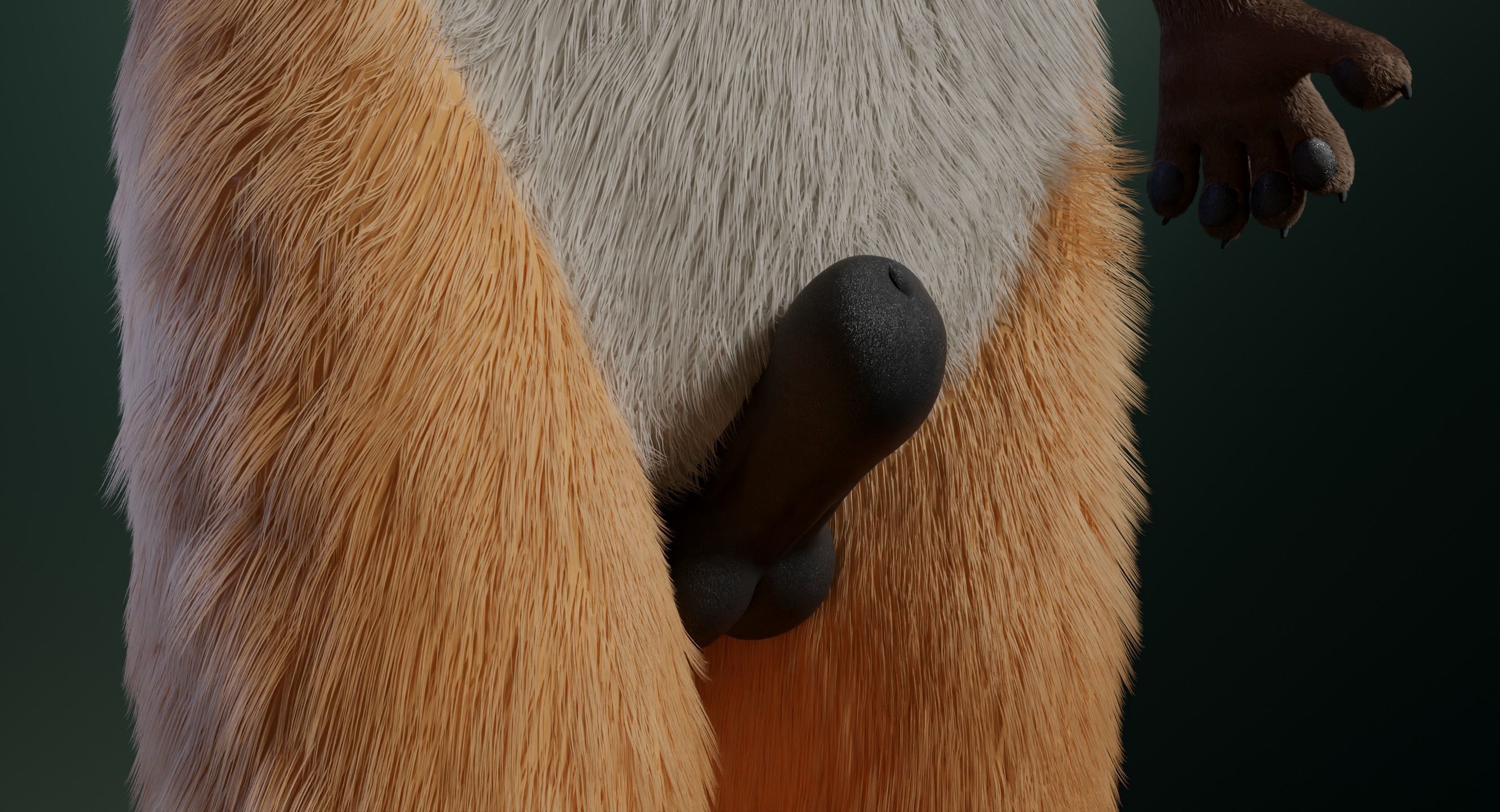 Hassun Anthro Fox 3D model_17