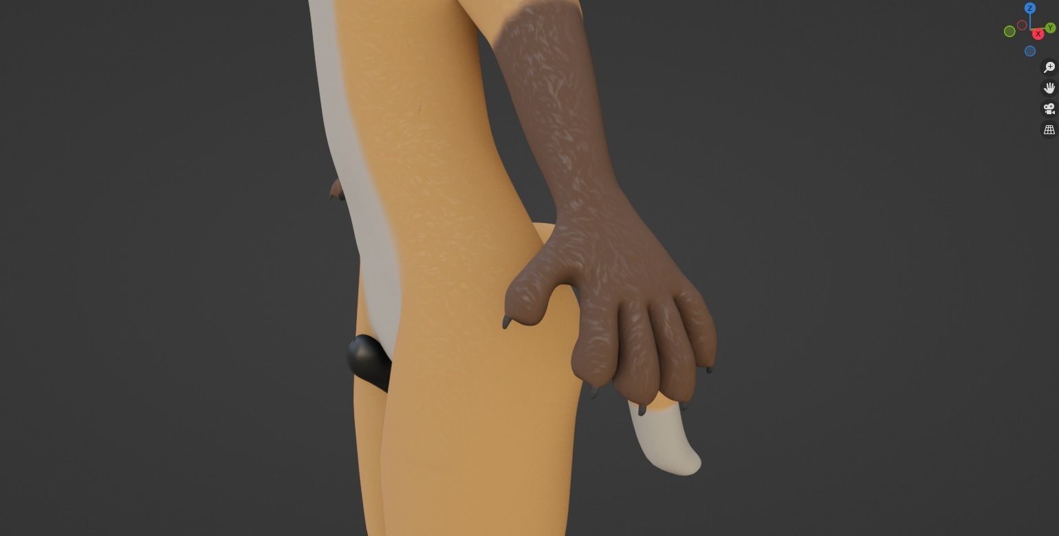 Hassun Anthro Fox 3D model_50