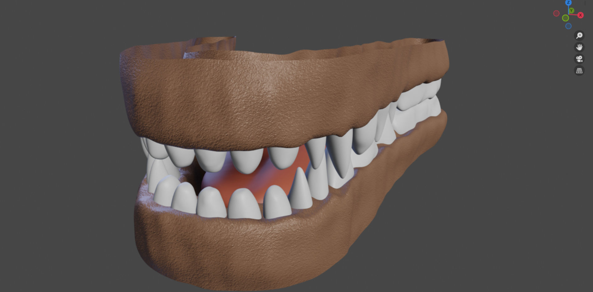 Hassun Anthro Fox 3D model_77