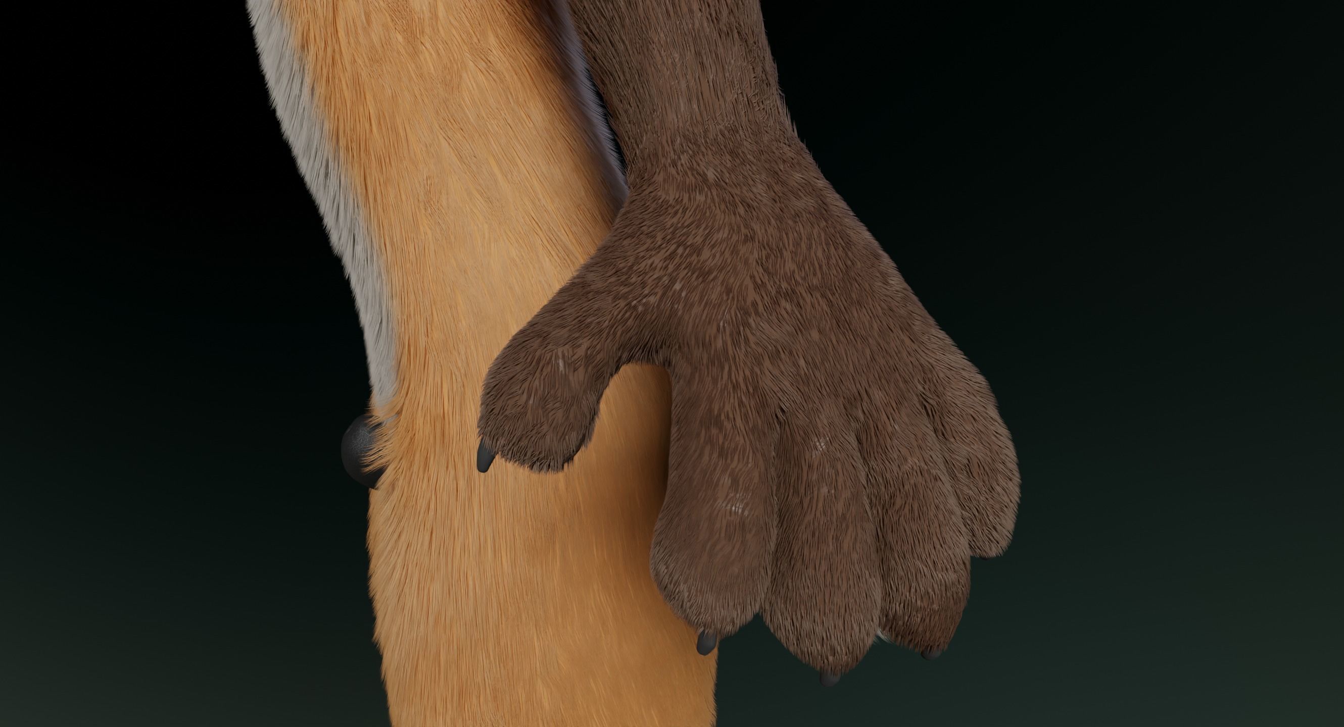 Hassun Anthro Fox 3D model_11