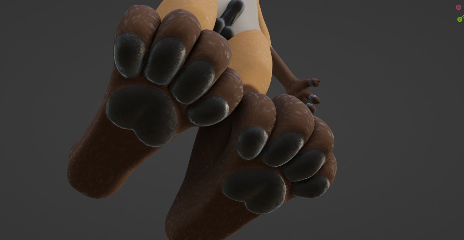 Hassun Anthro Fox 3D model_56