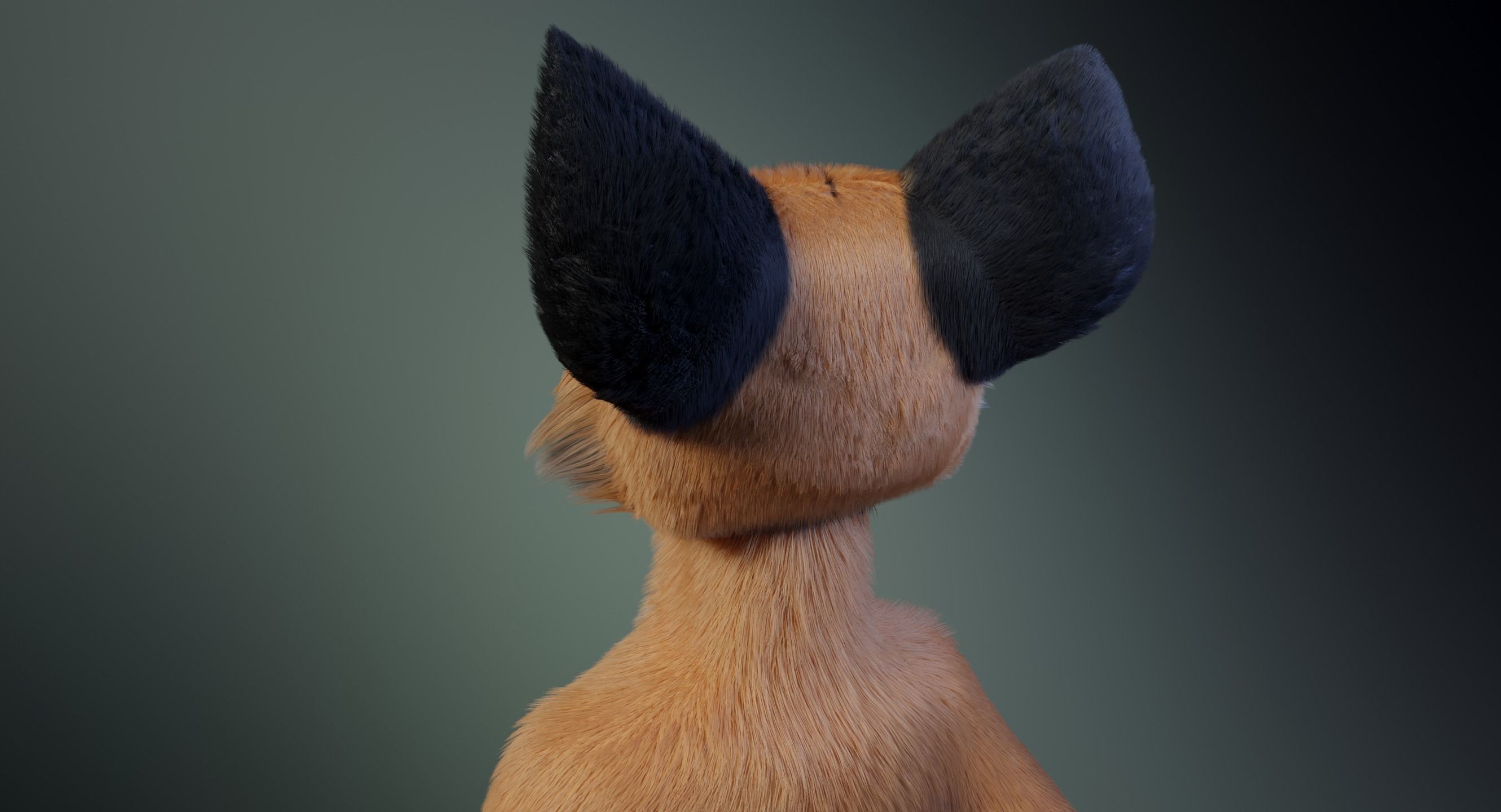 Hassun Anthro Fox 3D model_5