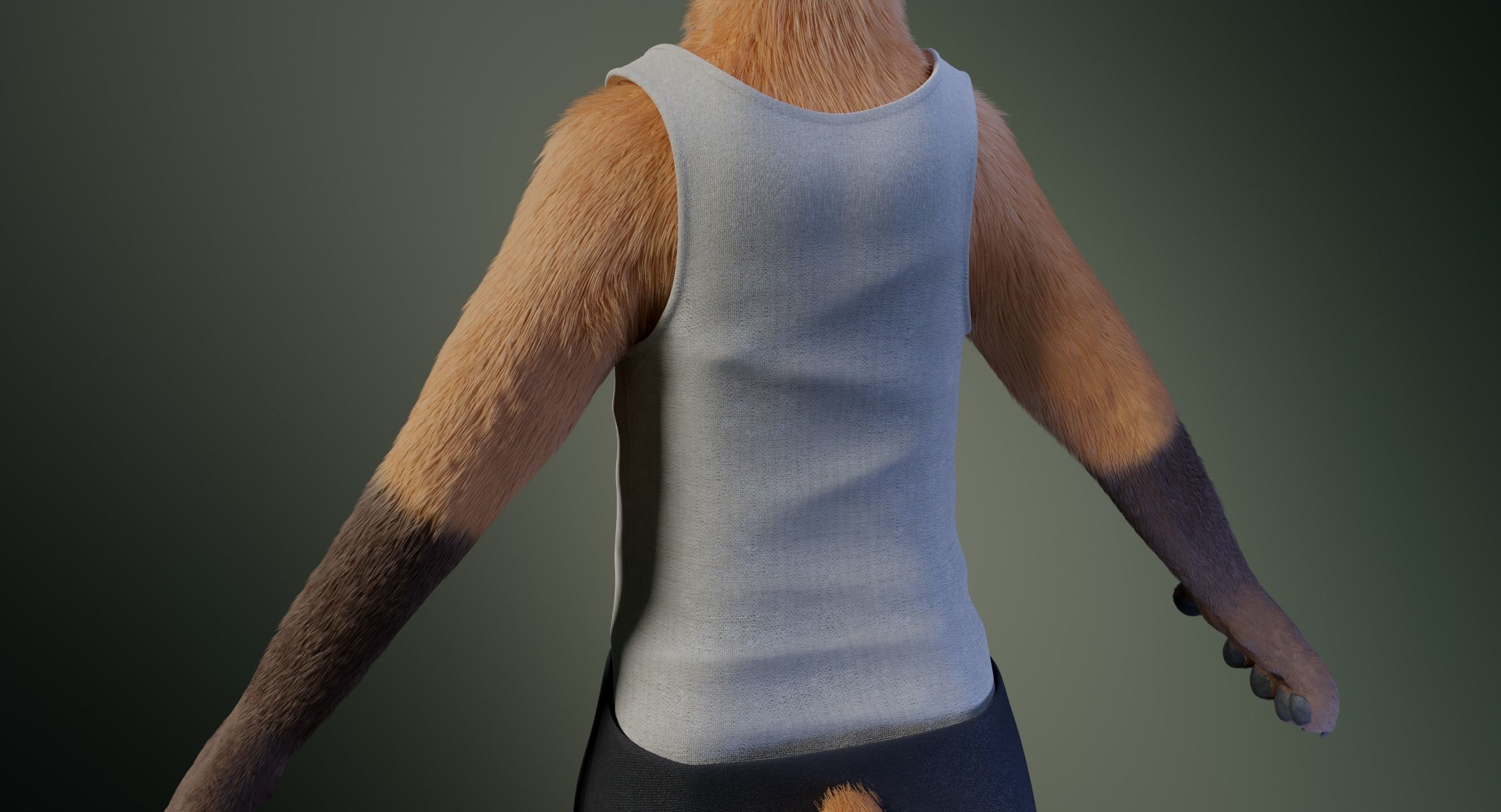 Hassun Anthro Fox 3D model_29