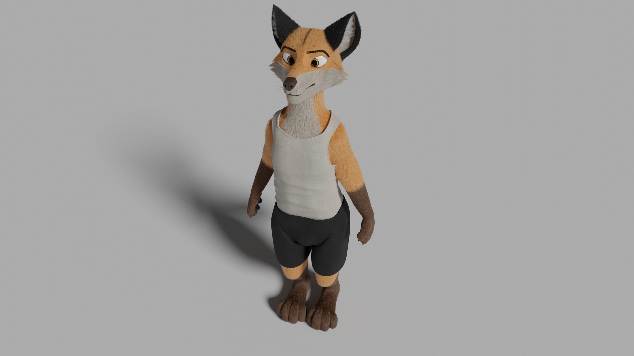 Hassun Anthro Fox 3D model_37