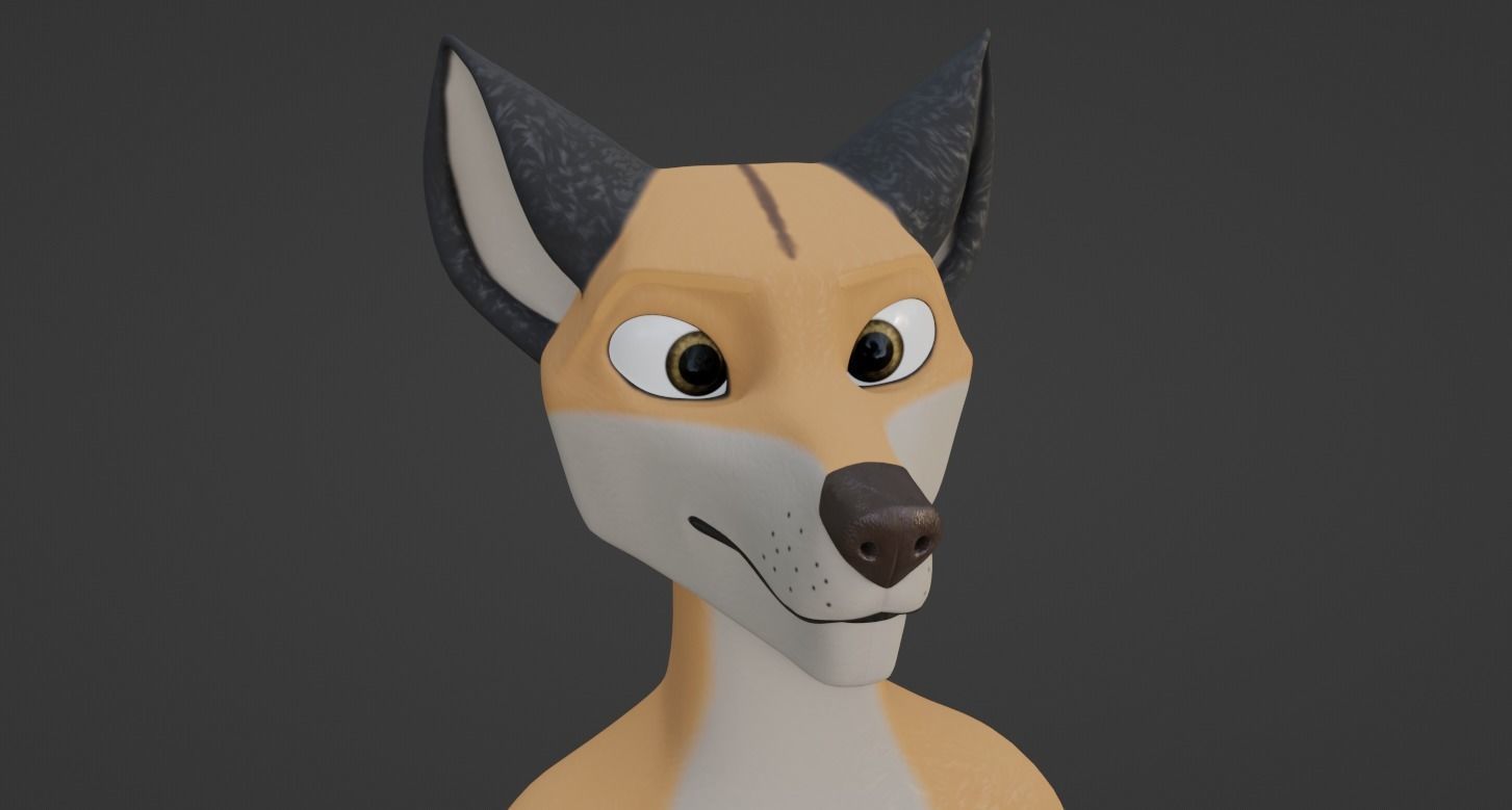 Hassun Anthro Fox 3D model_47