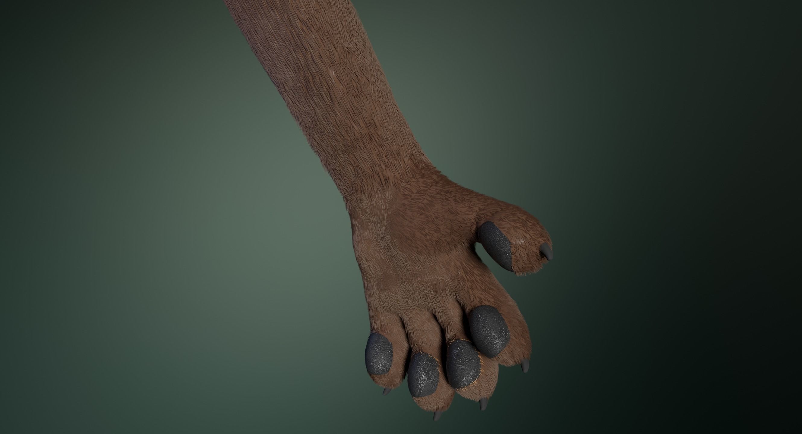 Hassun Anthro Fox 3D model_12