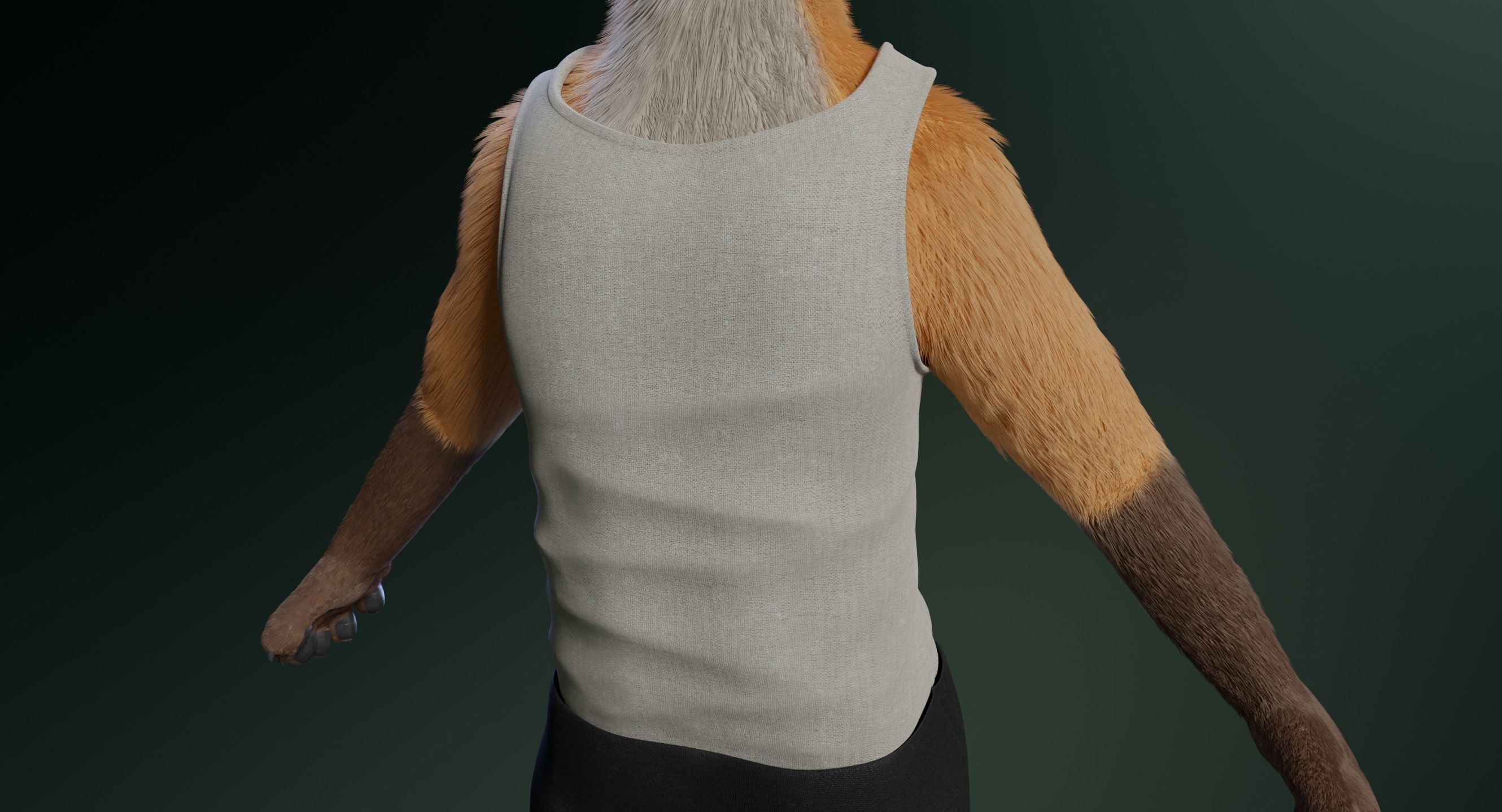 Hassun Anthro Fox 3D model_28
