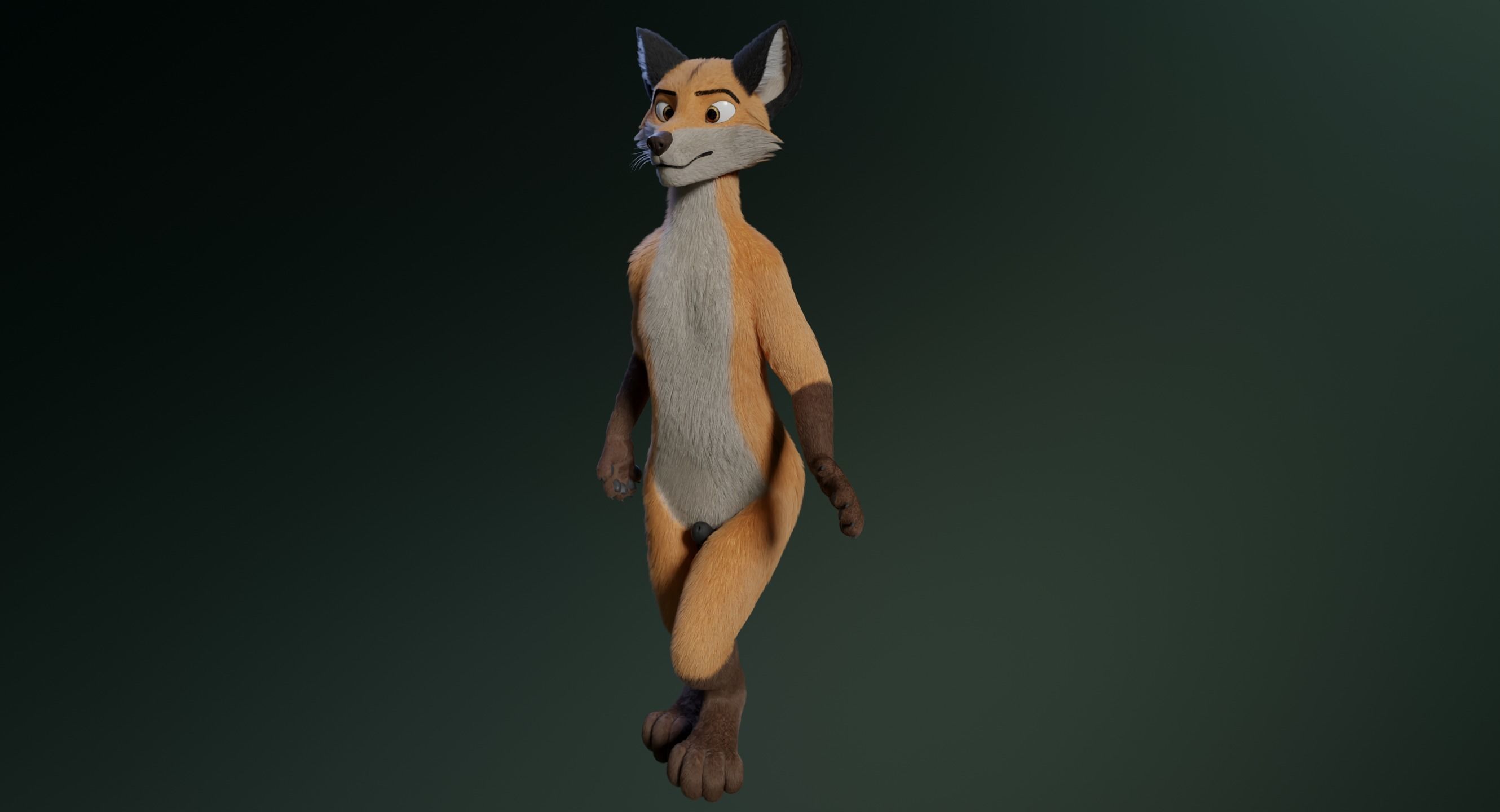 Hassun Anthro Fox 3D model_20
