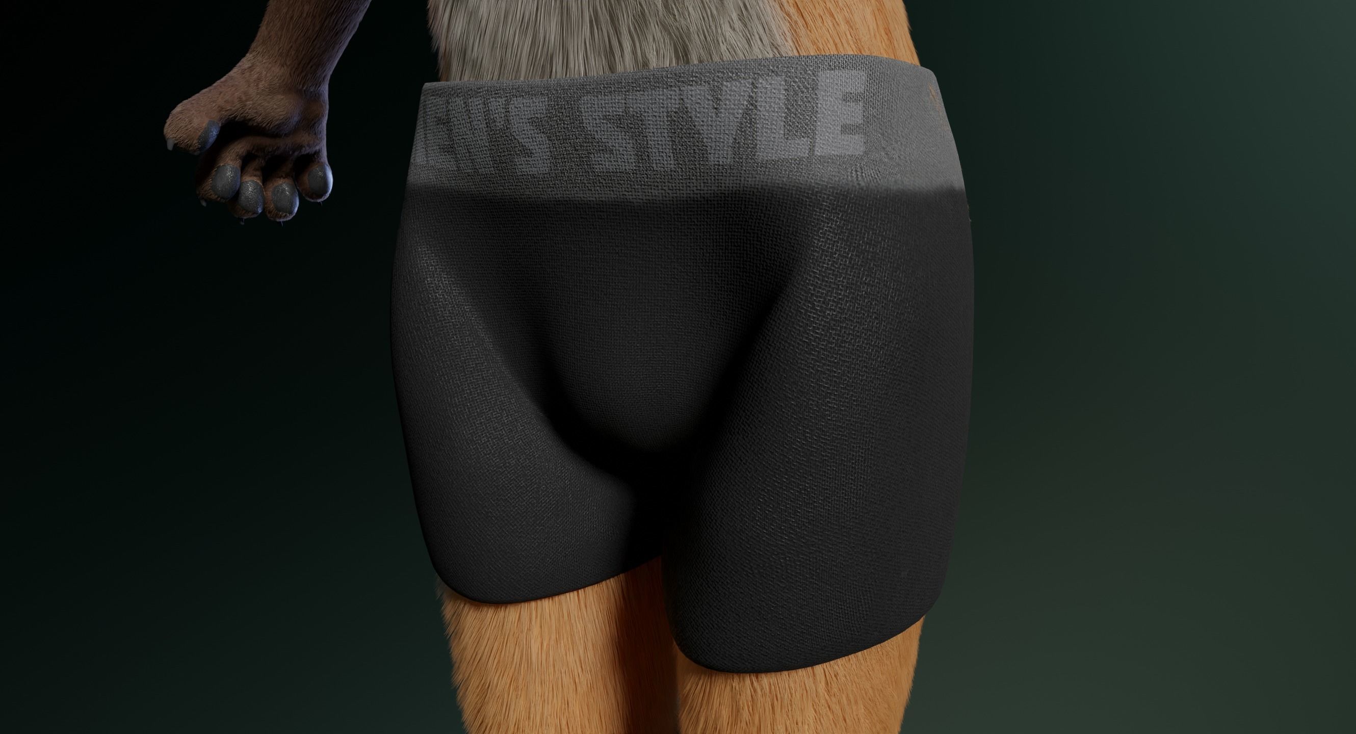 Hassun Anthro Fox 3D model_24