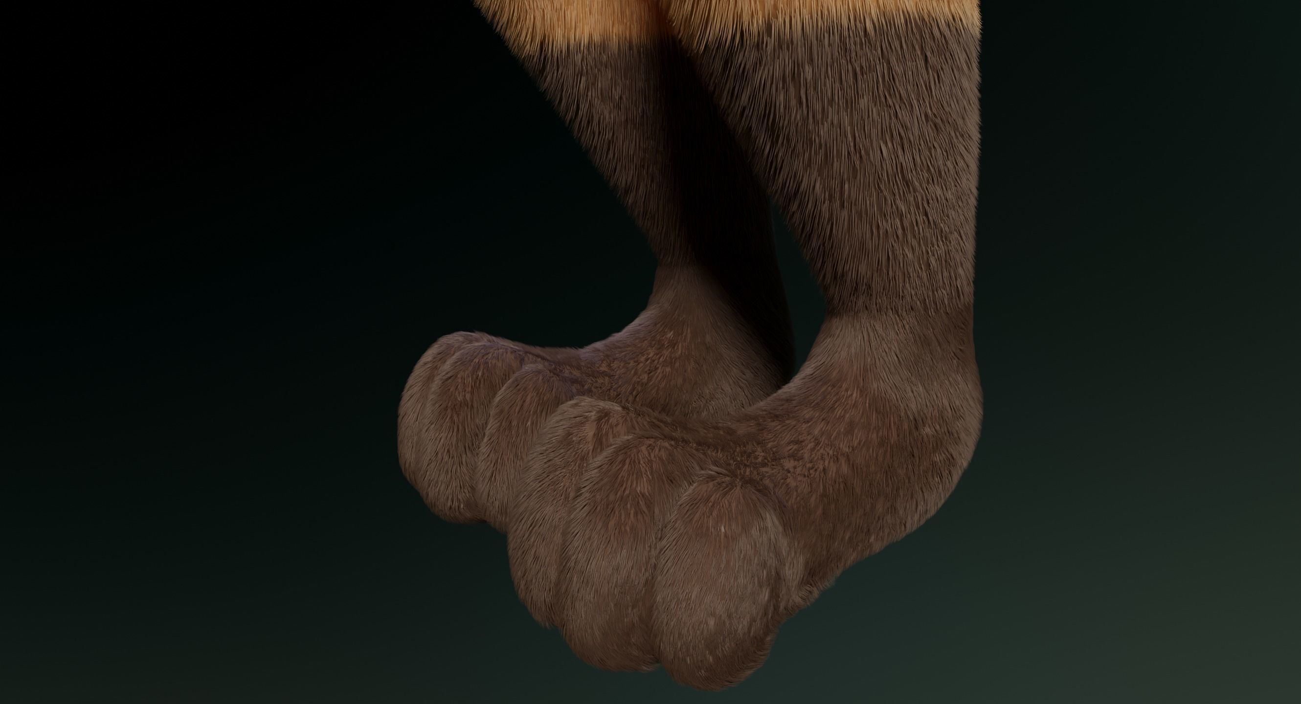 Hassun Anthro Fox 3D model_13