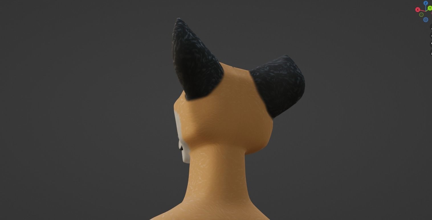 Hassun Anthro Fox 3D model_49