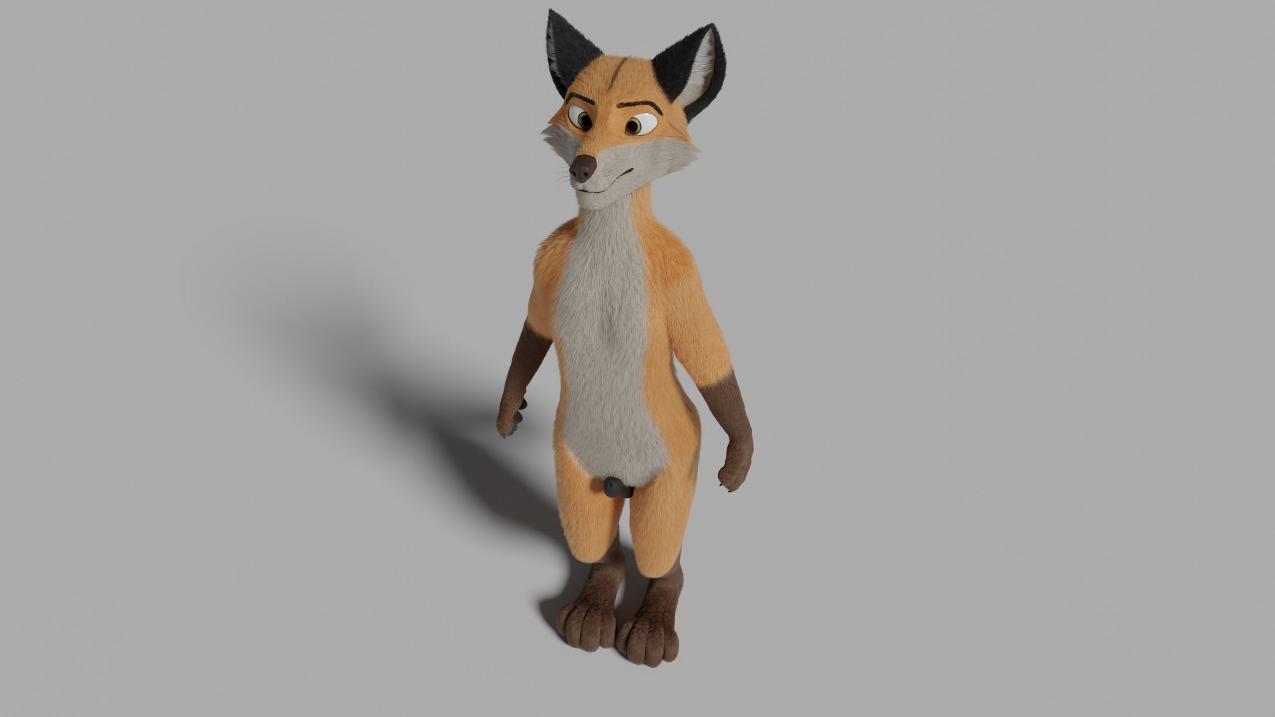Hassun Anthro Fox 3D model_36