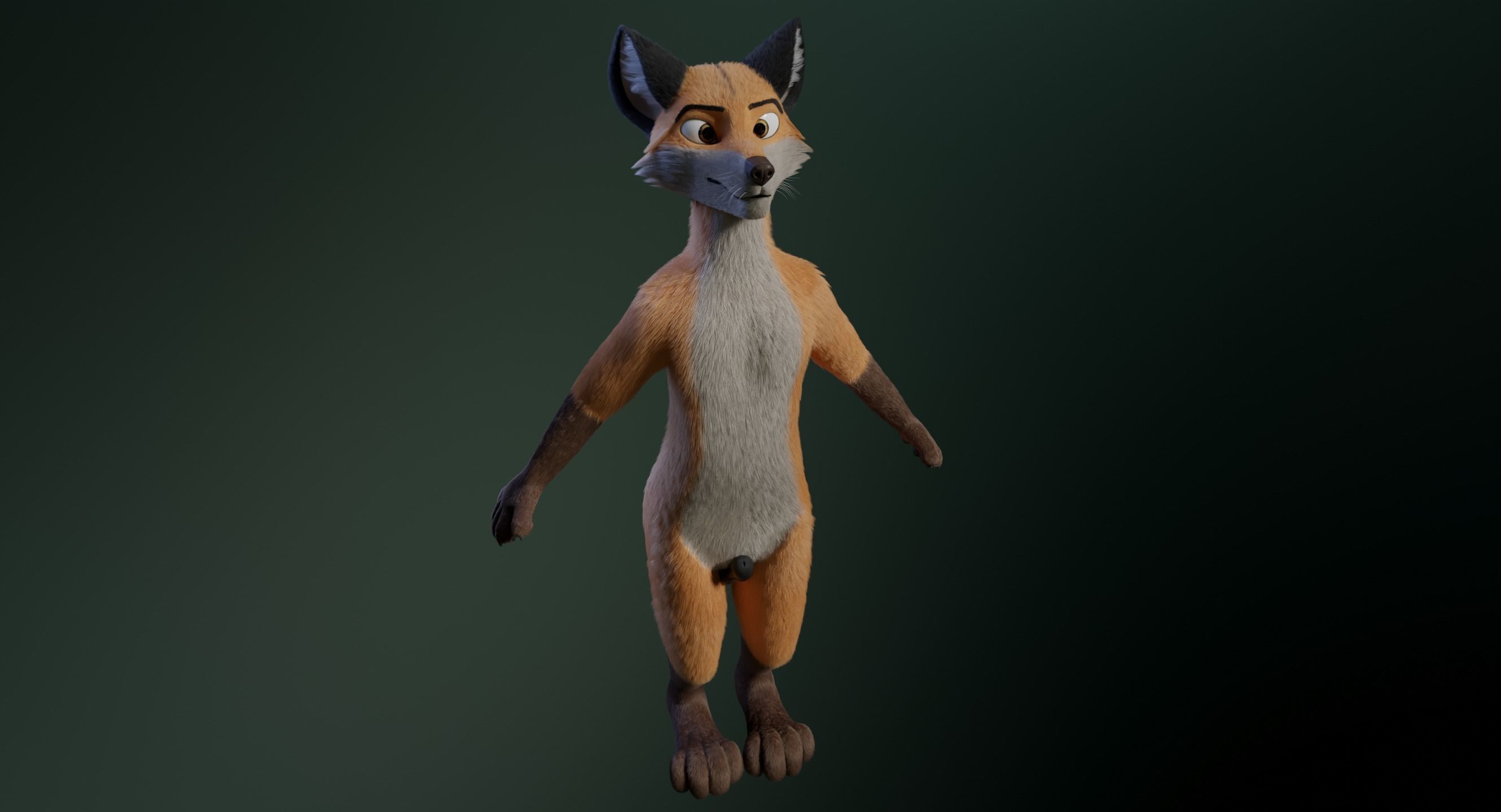 Hassun Anthro Fox 3D model_19