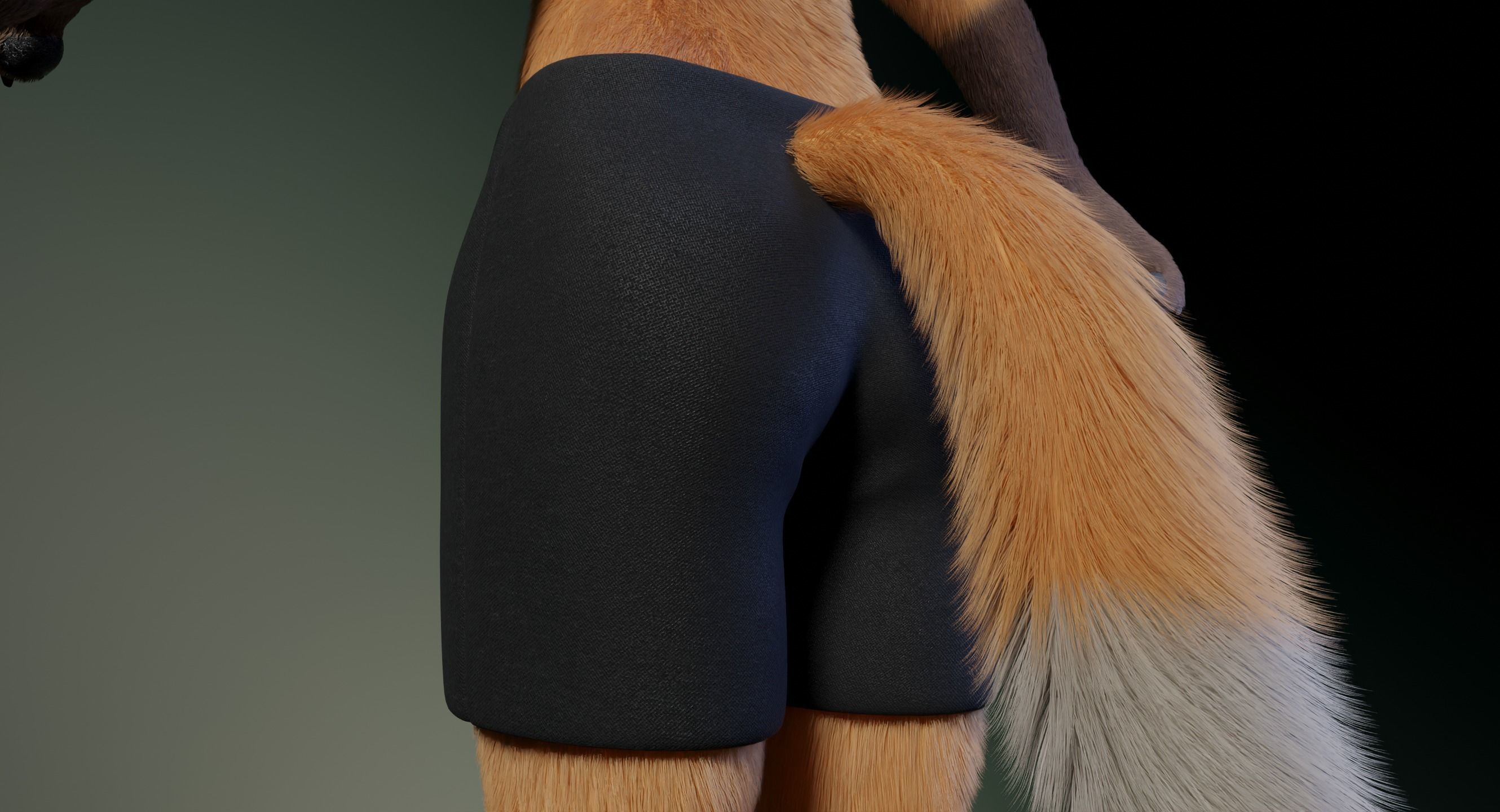 Hassun Anthro Fox 3D model_27