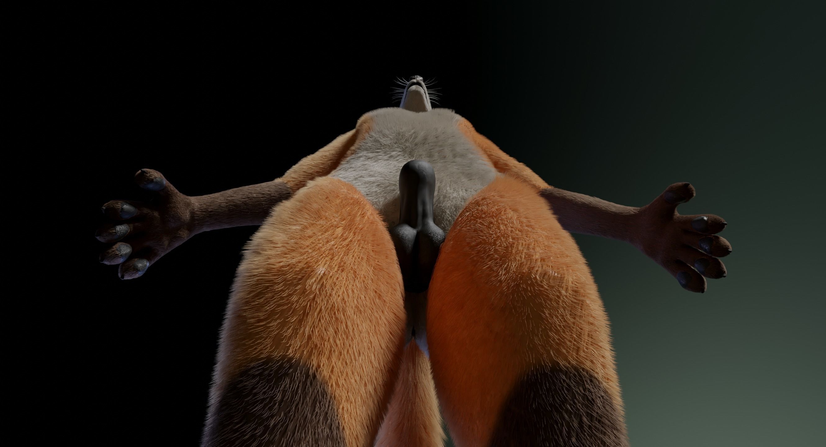 Hassun Anthro Fox 3D model_15