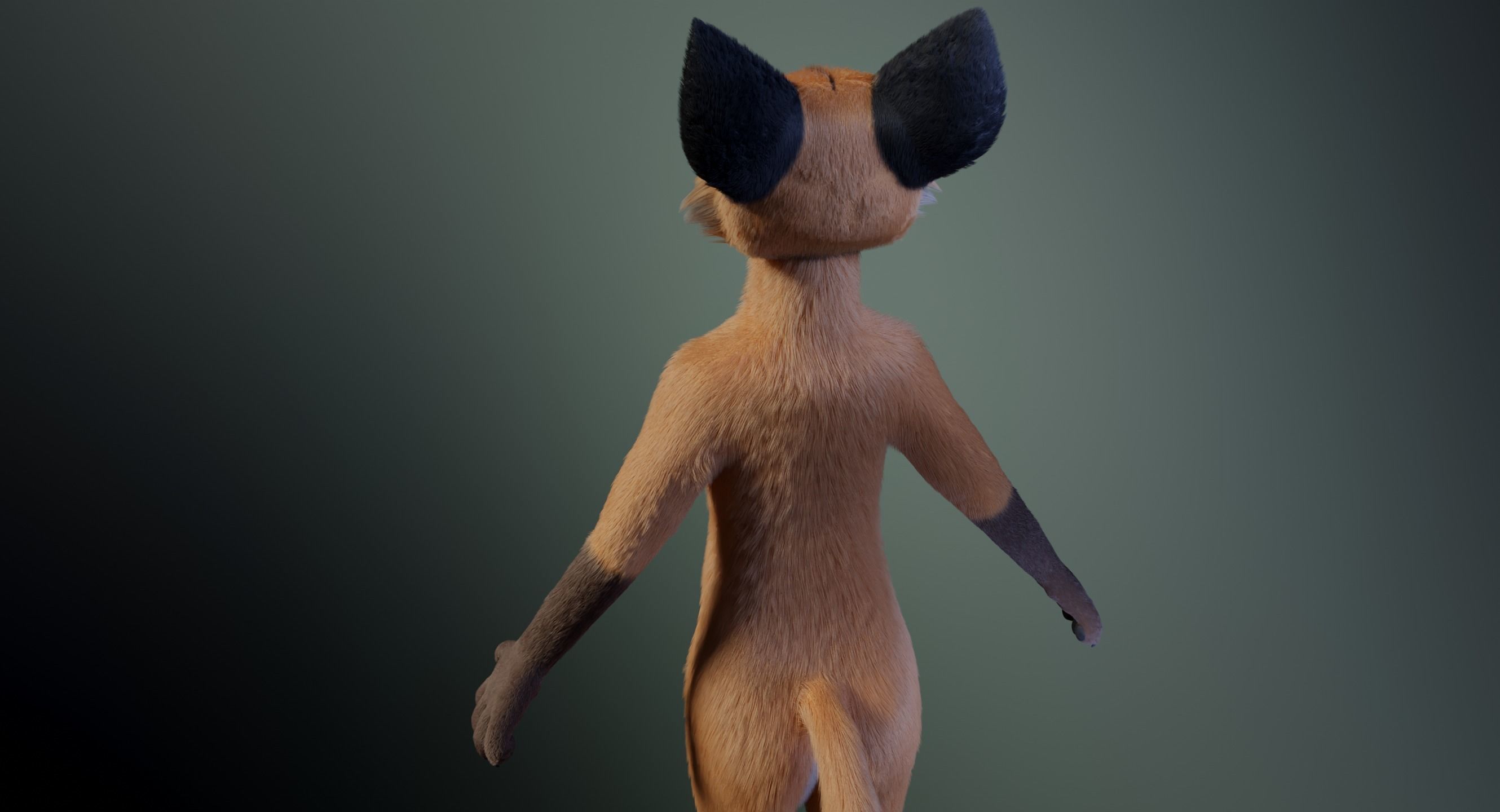 Hassun Anthro Fox 3D model_7